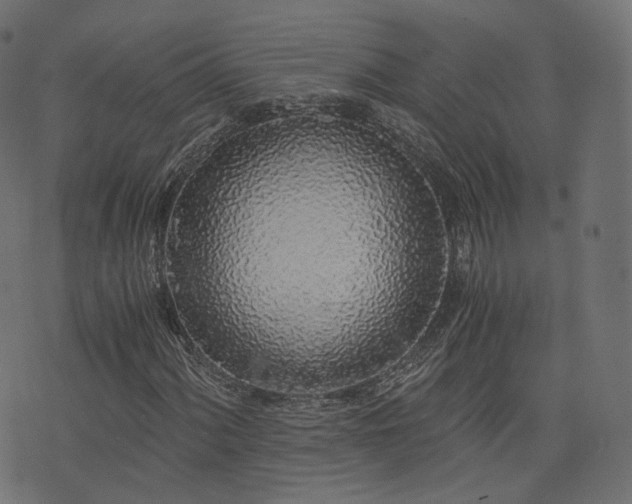 X0000076411060200610061134