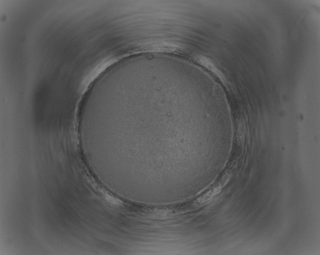 X0000076411071200610061133