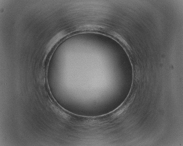 X0000076411075200610061133