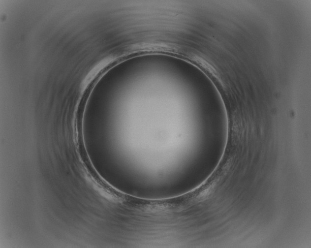 X0000076411082200610061133