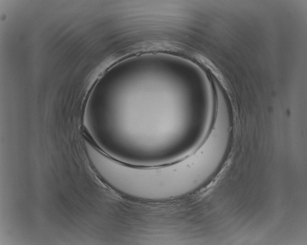 X0000076411089200610061133