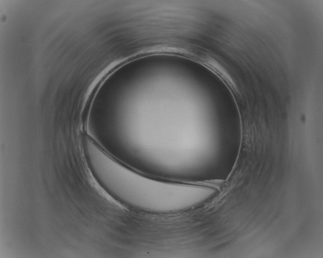 X0000076411092200610061133