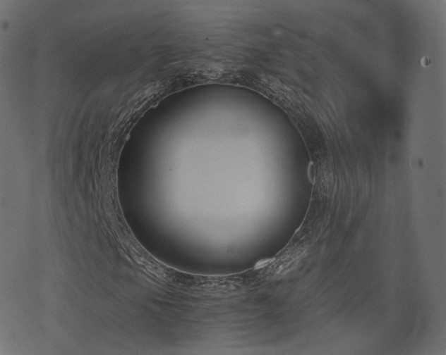 X0000076411105200610061132