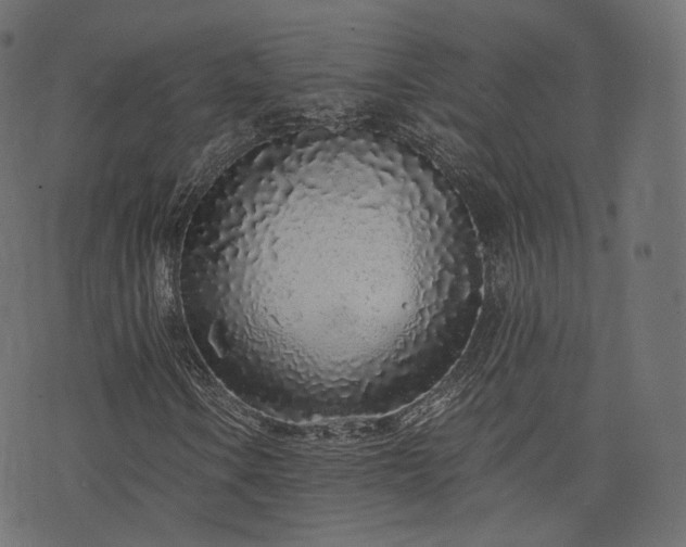 X0000076411106200610061132