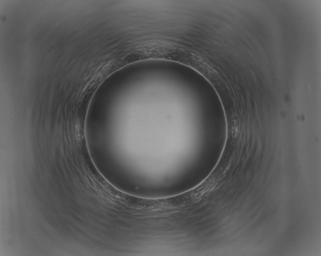 X0000076411108200610061132