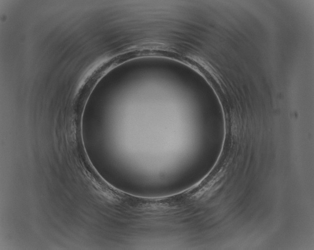 X0000076411115200610061132