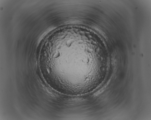 X0000076411117200610061132