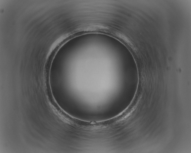 X0000076411122200610061132