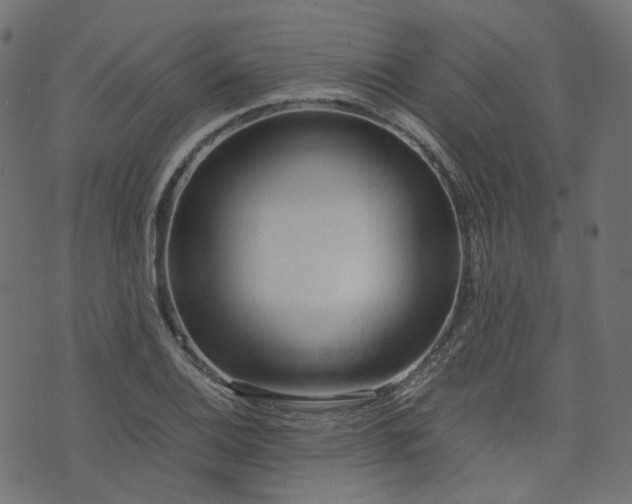 X0000076411124200610061132