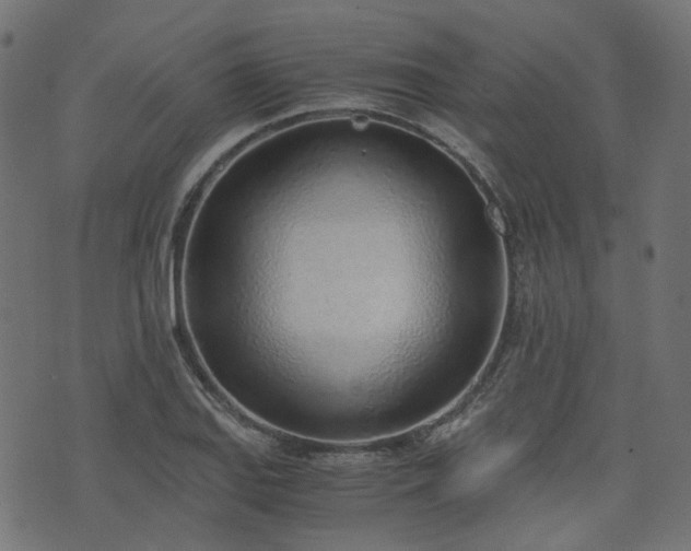 X0000076411127200610061132