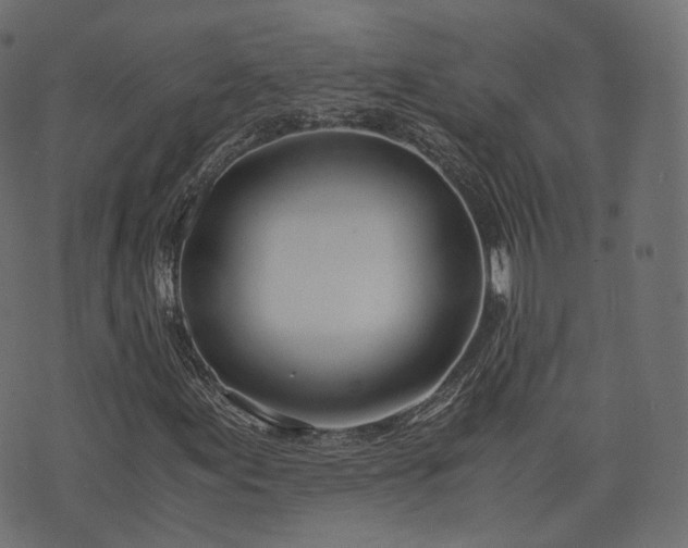X0000076411155200610061132