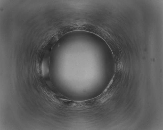 X0000076411156200610061132