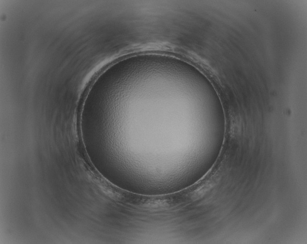 X0000076411174200610061132