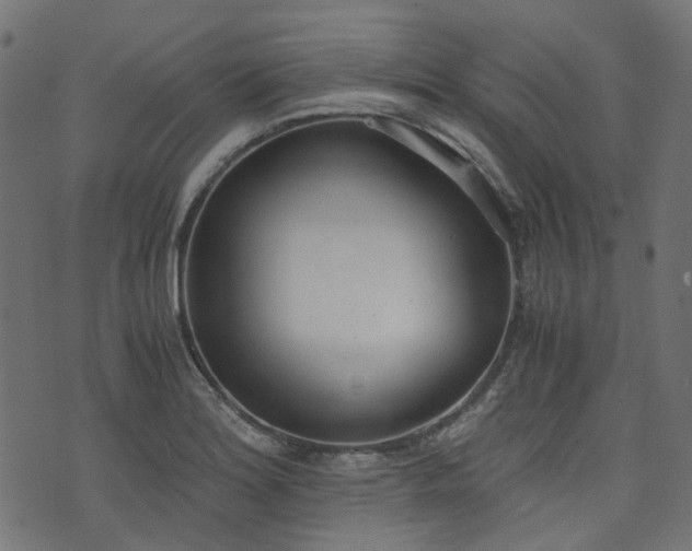 X0000076411180200610061132
