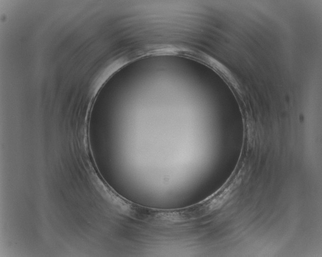 X0000076411194200610061131