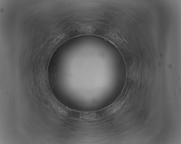 X0000076411201200610061131