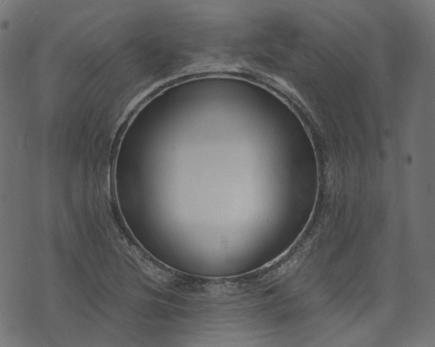 X0000076411220200610061131