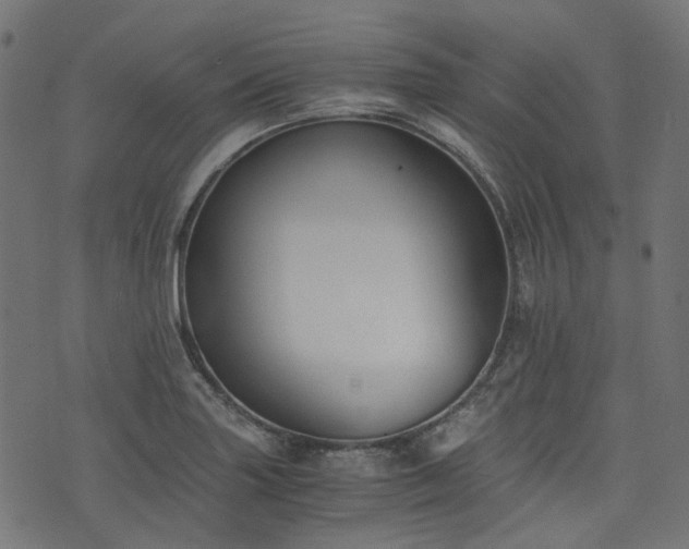 X0000076411227200610061131