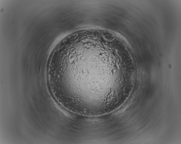 X0000076411231200610061131