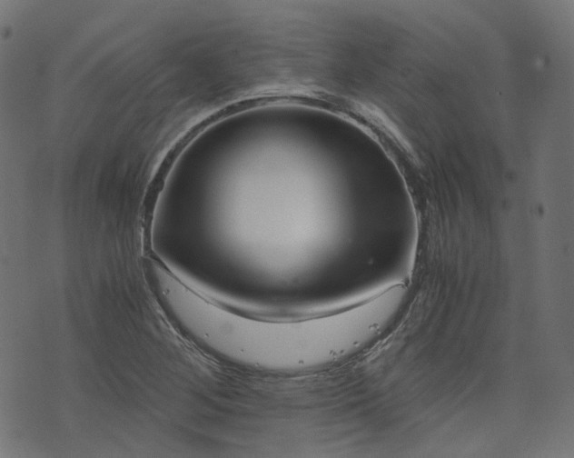 X0000076411268200610061130