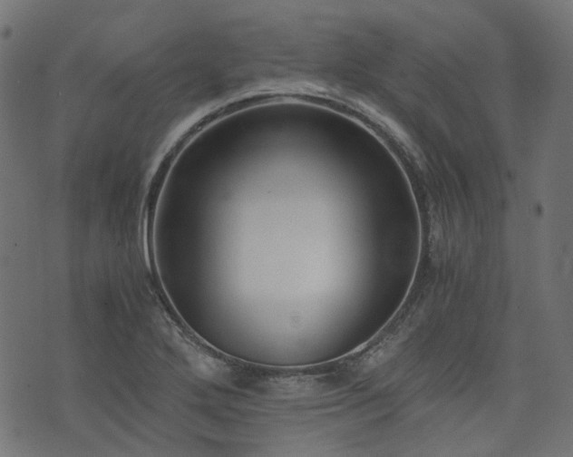 X0000076411272200610061130