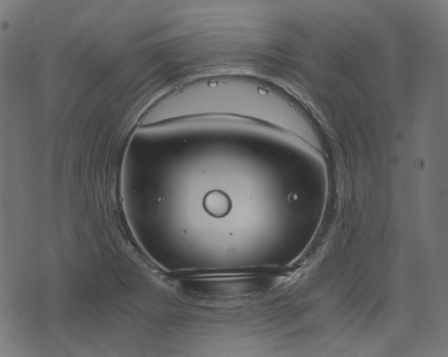 X0000076411273200610061130
