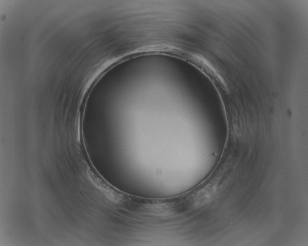 X0000076411276200610061130