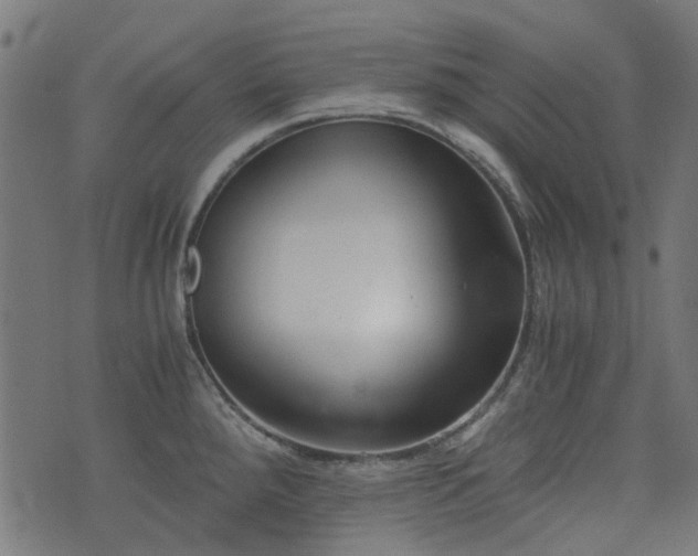 X0000076411288200610061130
