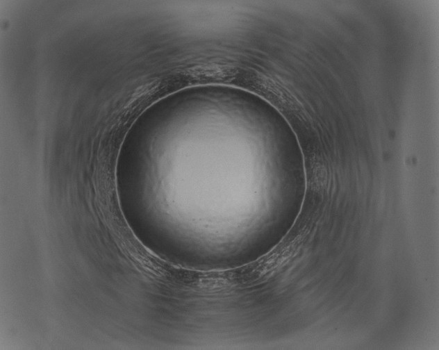 X0000076411297200610061129