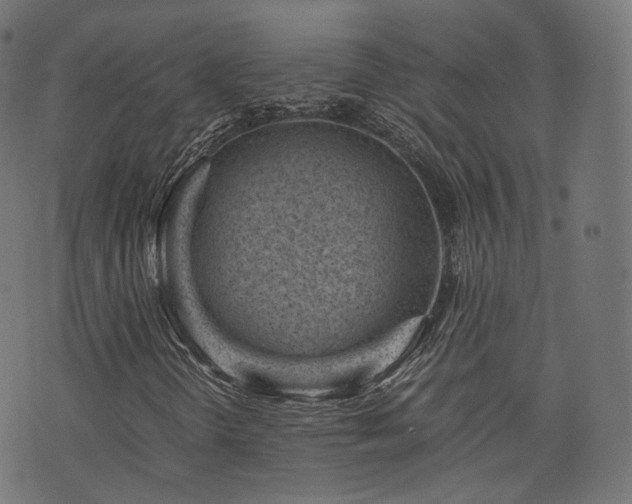X0000076411298200610061129