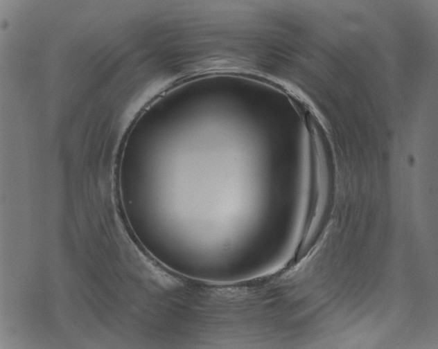 X0000076411333200610061130