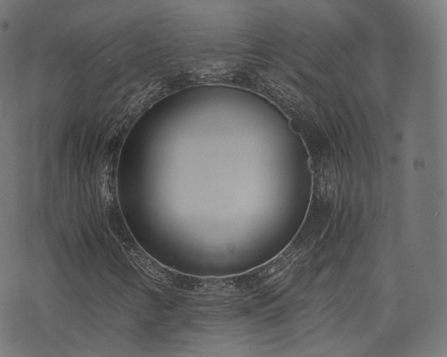 X0000076411346200610061129