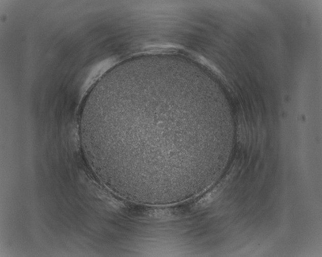 X0000076411362200610061129