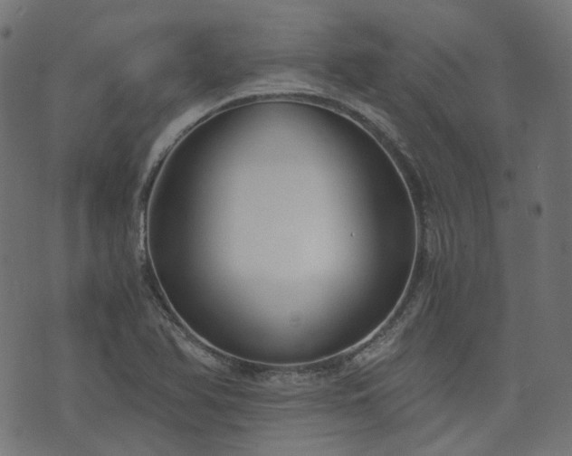X0000076411366200610061129