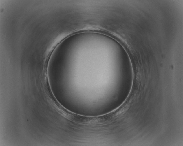 X0000076411367200610061129