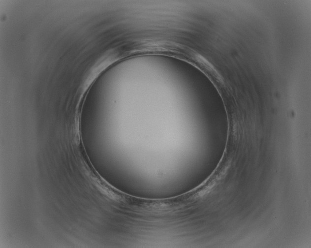 X0000076411370200610061129