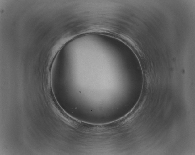 X0000076411371200610061129