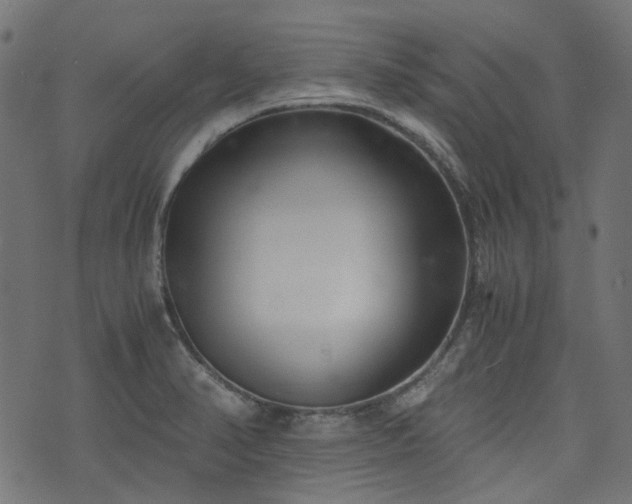 X0000076411374200610061129