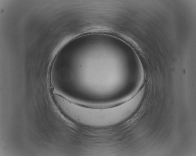 X0000076411375200610061128