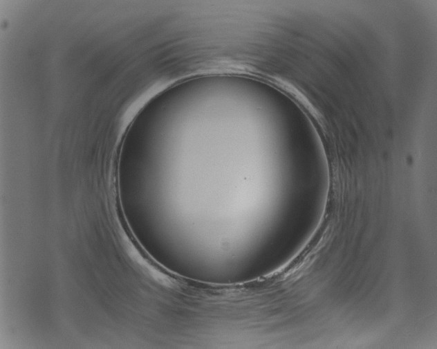 X0000076411387200610061128