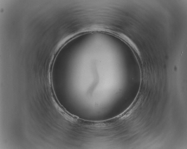 X0000076411388200610061128