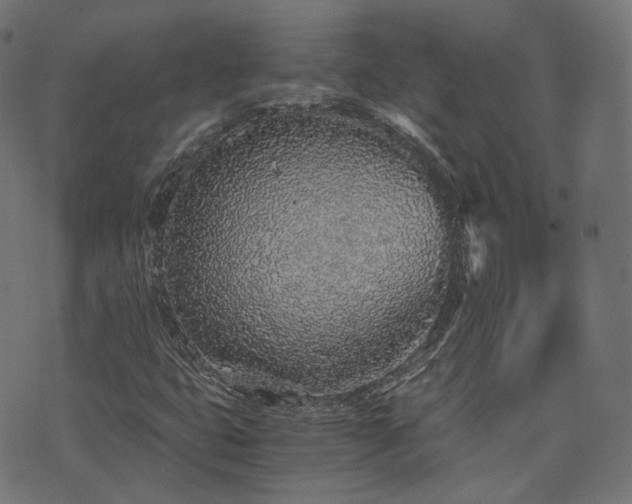 X0000076411399200610061128
