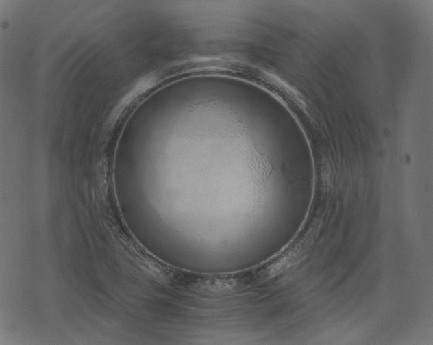X0000076411411200610061128