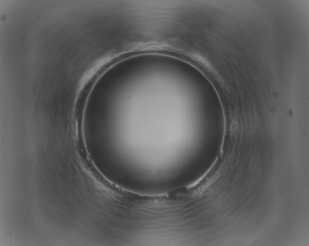 X0000076411414200610061128