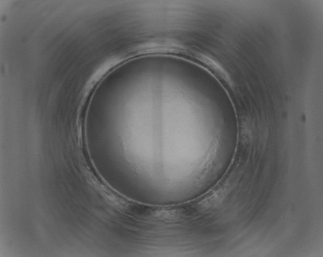 X0000076411419200610061128