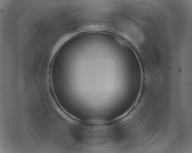 X0000076411421200610061128