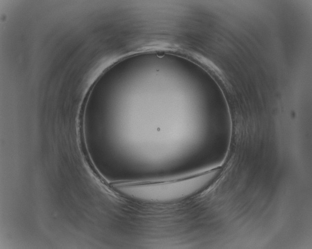 X0000076411423200610061128