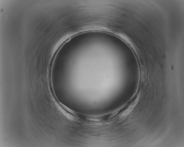 X0000076411438200610061128