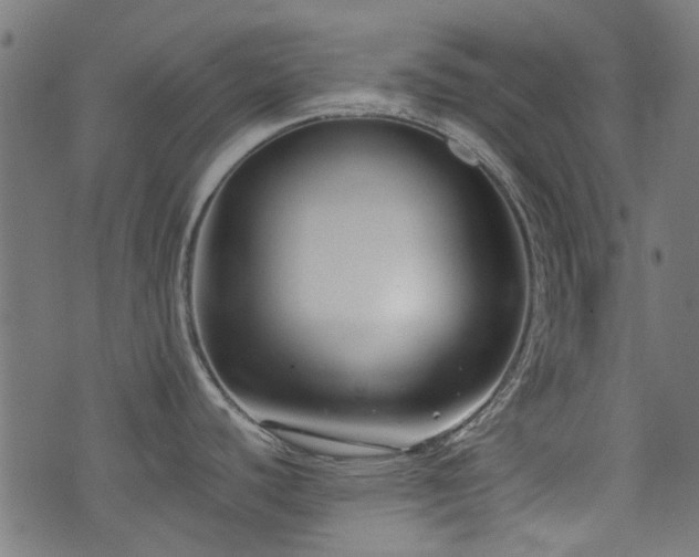 X0000076411440200610061128