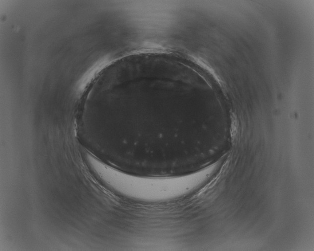 X0000076411455200610061127